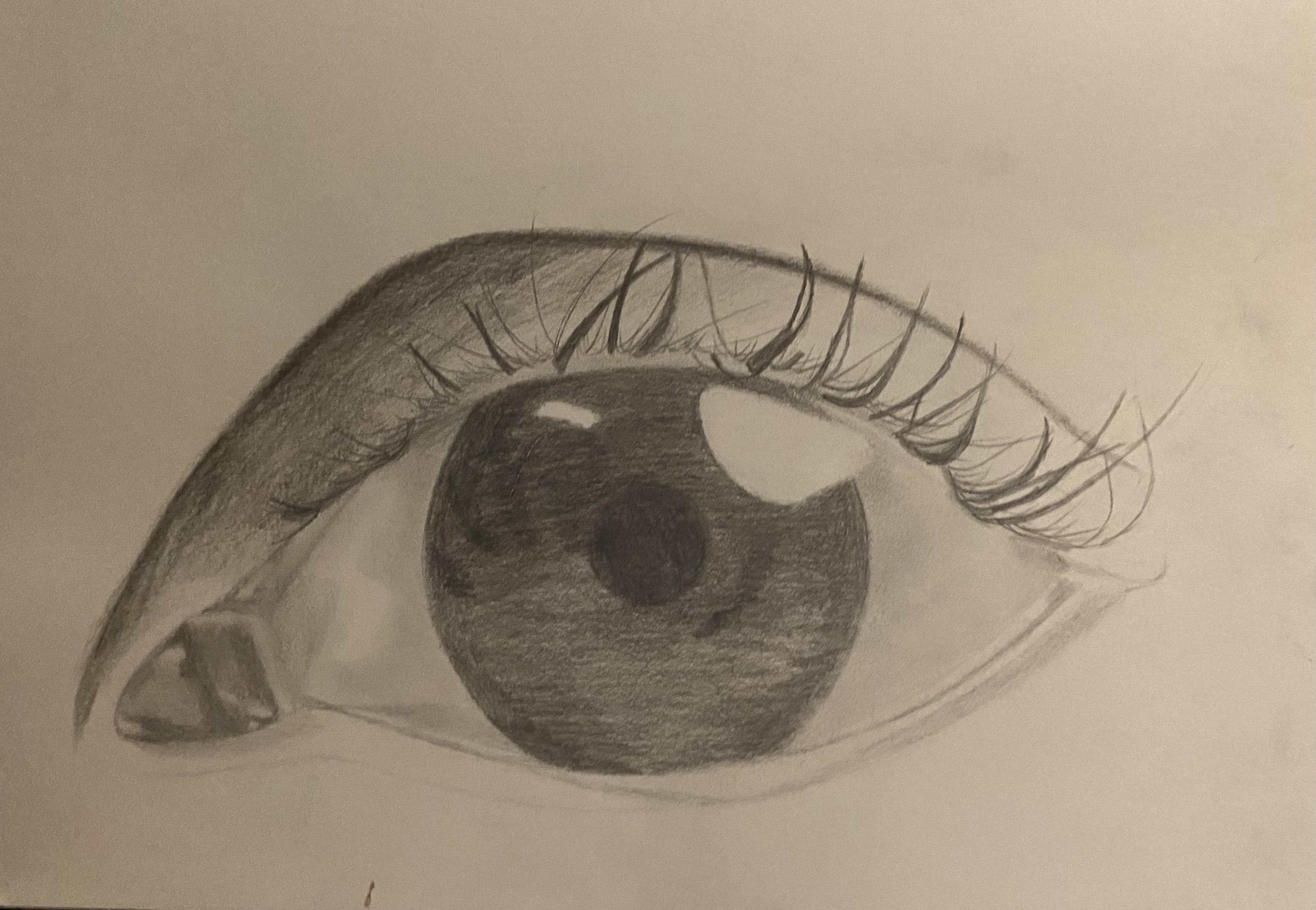 Pencil Sketch: Reflective Eye - 2020